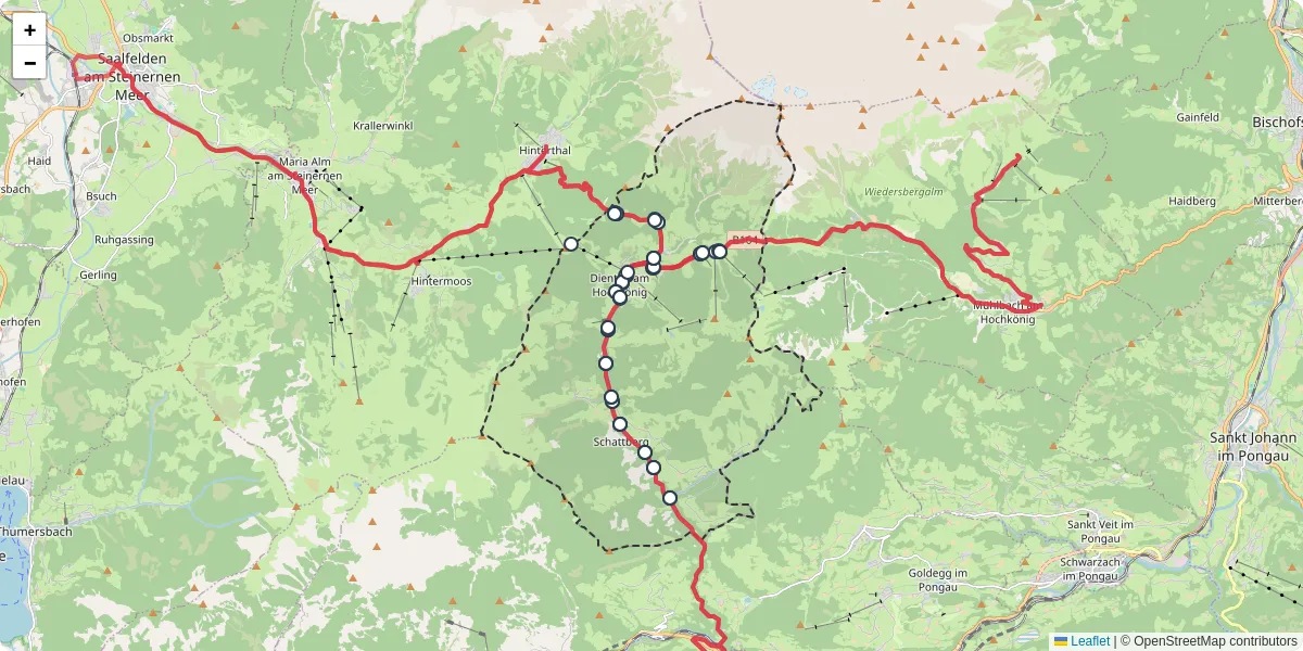 Nahverkehrsnetz in dienten-am-hochkonig, Österreich - Buslinien, Haltestellen und Verbindungen auf der Karte