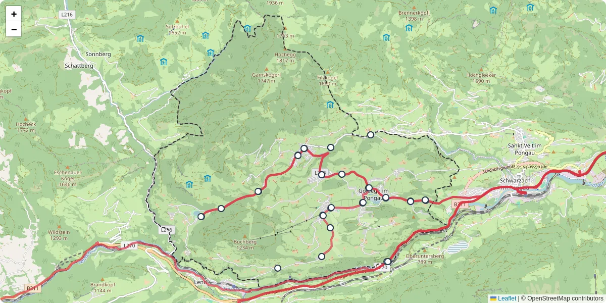 Nahverkehrsnetz in goldegg, Österreich - Buslinien, Haltestellen und Verbindungen auf der Karte